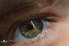 CSPics > 03-21-09

You are being watched . . .

Here's a twist on the what is it question.

What age is this eye?  Answer: 5 year-old granddaughter.