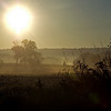 CSPics > 10-06-06

Sunup in Lancaster County