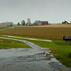 CSPics > 10-20-06

It was a dark and stormy  . . . afternoon!

The sun turned into clouds and rain for a brief time today.  And in the storm's wake - strong winds.  

I only rolled my window down for a second to shoot this shot near my home.  While not visable in the picture, the horizontal rain soaked my arm during the few seconds the car window was open.

Winter on the way . . .