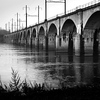 11-22-06

No Swimming . . . . indeed!


Gray, rainy day.  The last few days have been gray, moody pictures too.  Not really reflective of my mood.