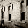 CSPics > 12-30-06

Morning Bricks